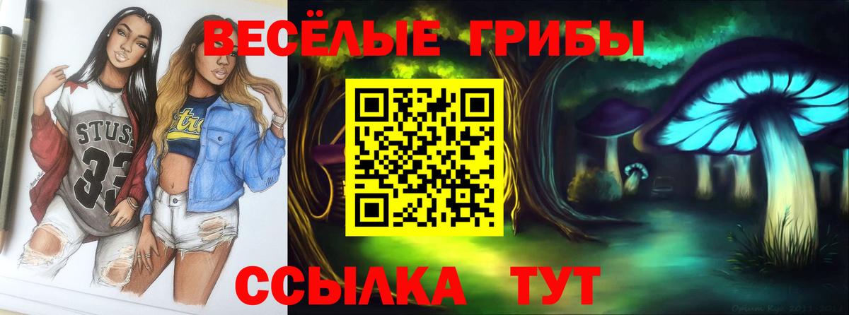 Псилоцибиновые грибы Psilocybe  Галлюциногенные грибы GOLDEN TEACHER  где купить   Гуково  Вход с VPN 